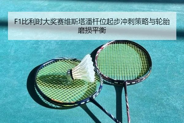 bi-li-shi-da-jiang-sai-wei-si-ta-pan-gan-wei-qi-bu-chong-ci-ce-lve-yu-lun-tai-mo-sun-ping-heng-3-748.jpg