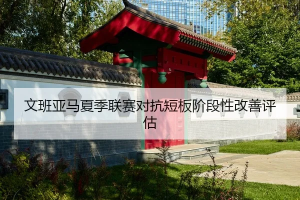 文班亚马夏季联赛对抗短板阶段性改善评估
