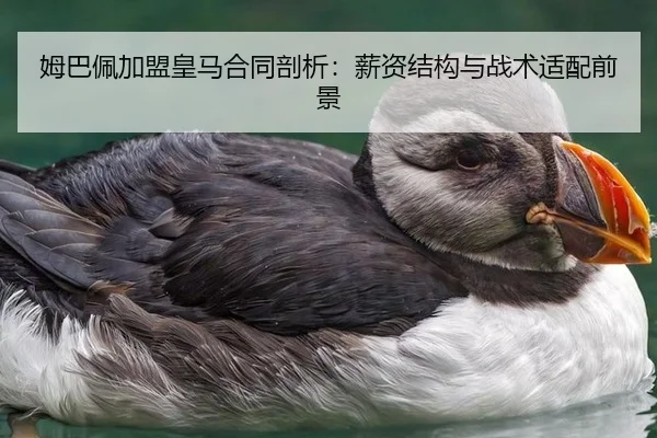 姆巴佩加盟皇马合同剖析：薪资结构与战术适配前景